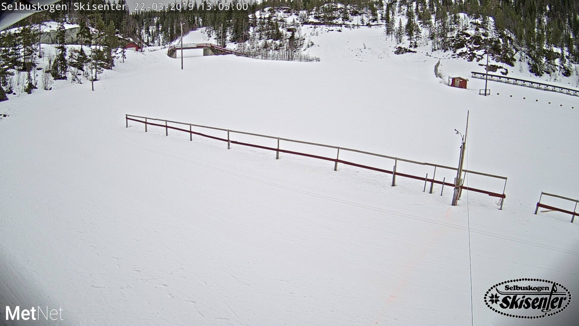 Webkamera Selbuskogen